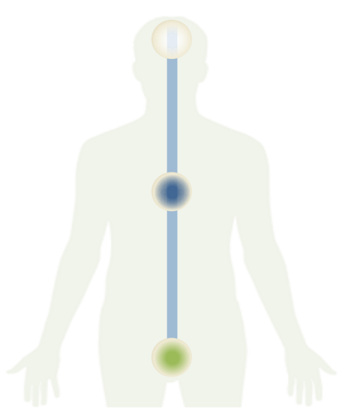 Visualizzazione corpo sottile